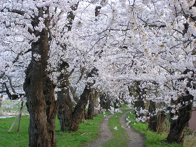 080421a.jpg