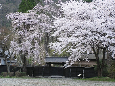 080421d.jpg