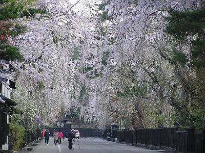 080421e.jpg