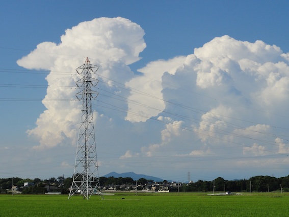 DSC00447芋掘り会2.jpg